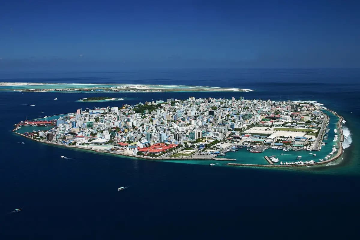 Aerial view of Male